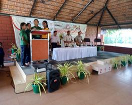 portfolio woocommerce