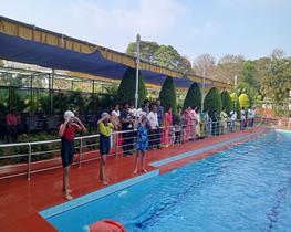 portfolio woocommerce