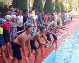 portfolio woocommerce